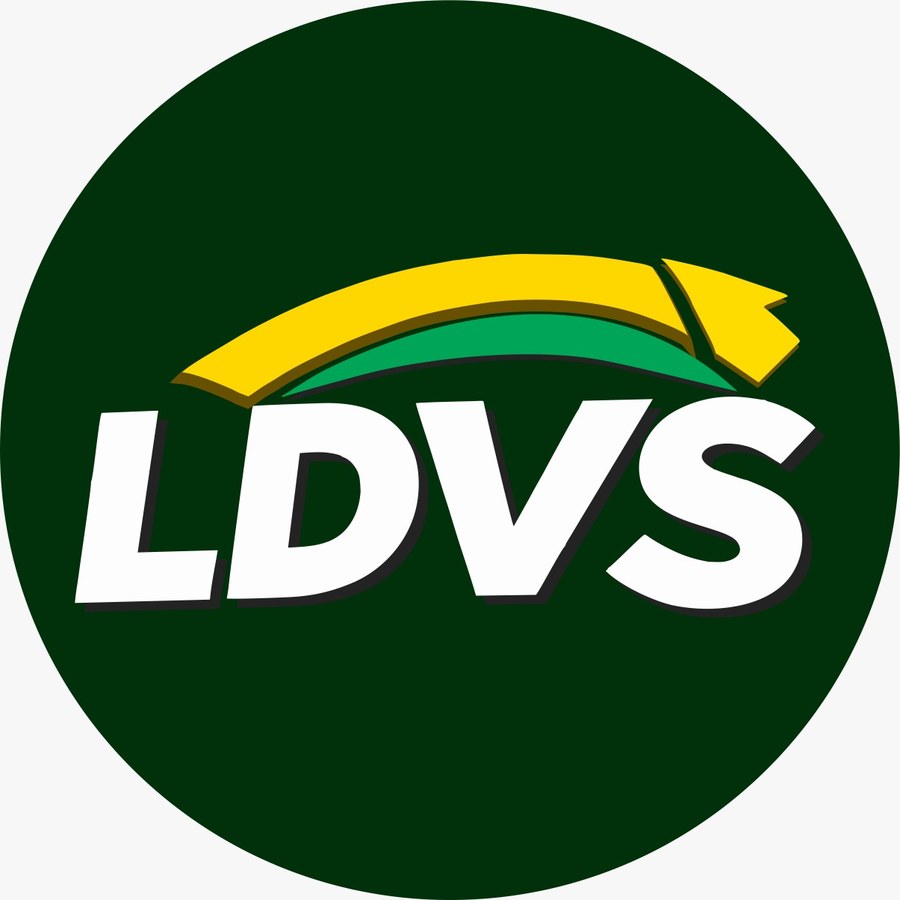 LDVS Solar